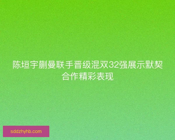 陈垣宇蒯曼联手晋级混双32强展示默契合作精彩表现